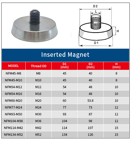 Inserted Neodymium Magnets